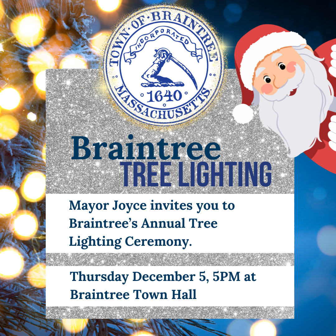 Braintree Tree Lighting