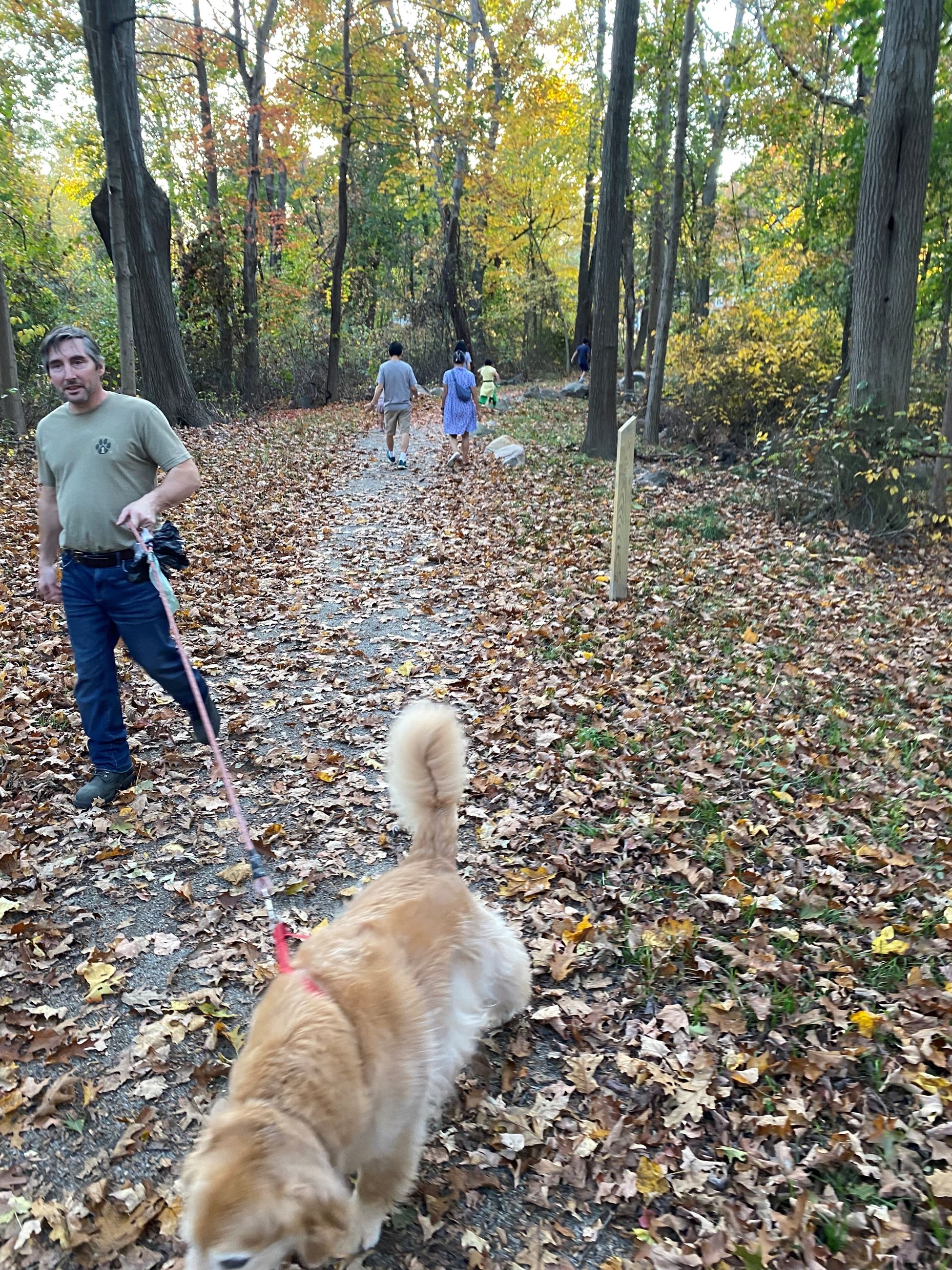 Middle Street Trail Walkers