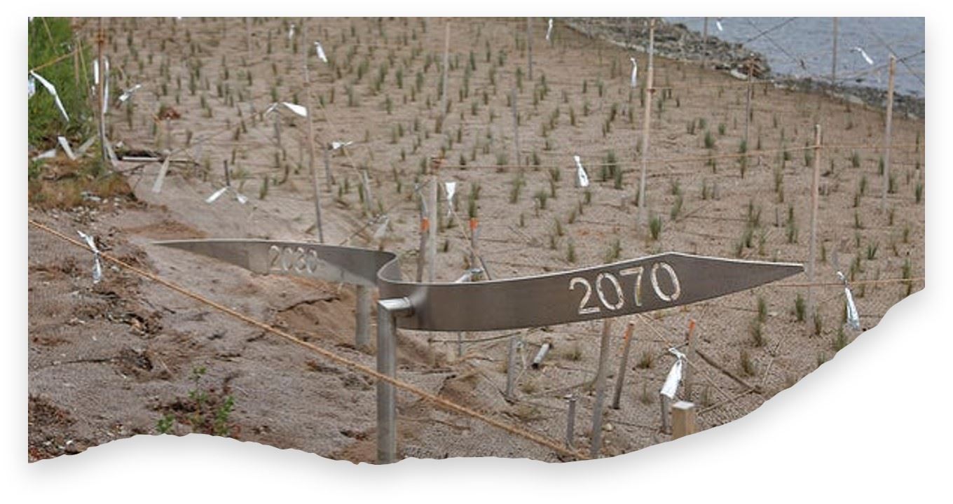 Watson Shoreline Stabilization Patriot Ledger