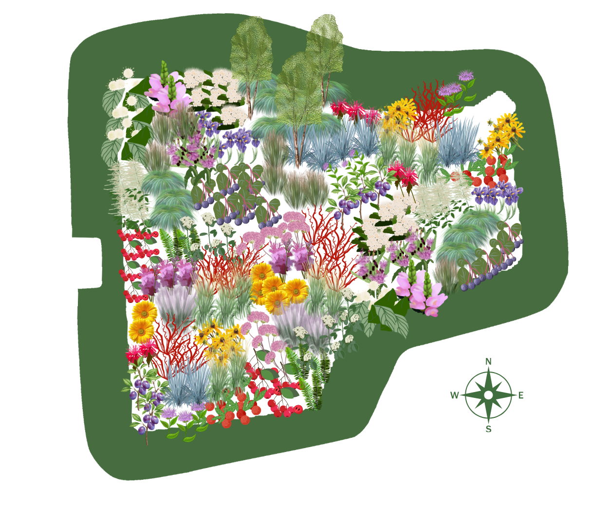 map of plants in the rain garden at elder affairs