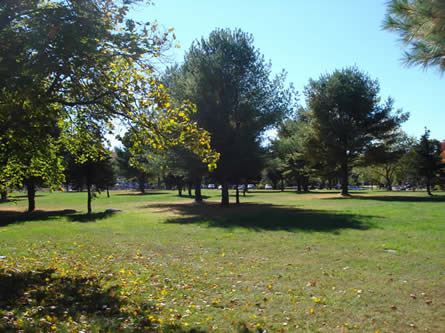 Norfolk County Land with Trees